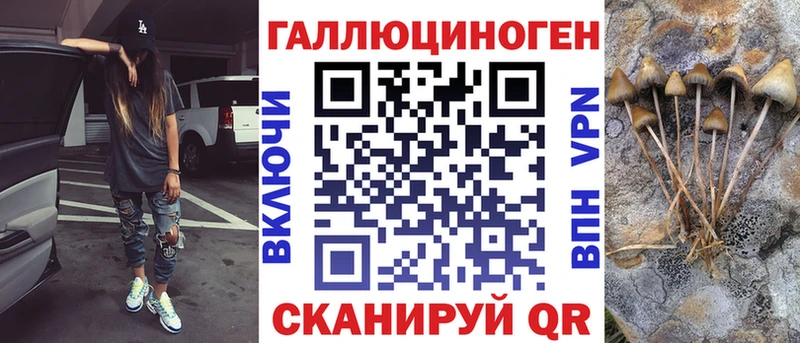 что такое наркотик  Задонск  Псилоцибиновые грибы Psilocybe 